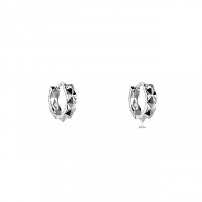 Stainless steel oorbellen