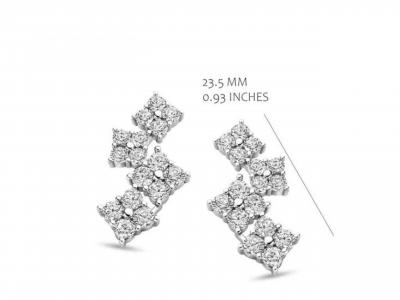 Silver Rose oorbellen