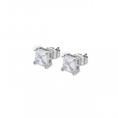 Stainless steel oorbellen